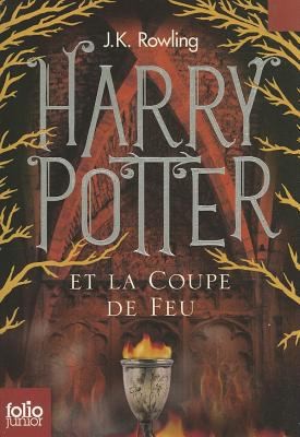 Couverture du tome 4